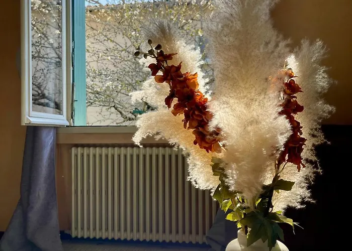 Reflet D'epoque Дом отдыха Briatexte